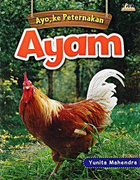 Image of Ayo, Ke Peternakan Ayam